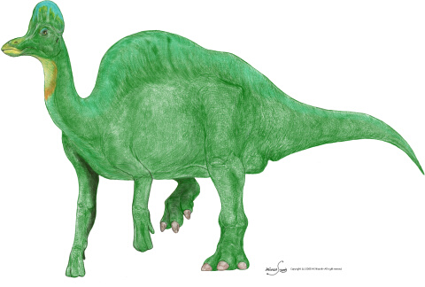 Corythosaurus.jpg