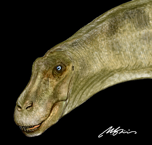 Dicraeosaurus02.jpg