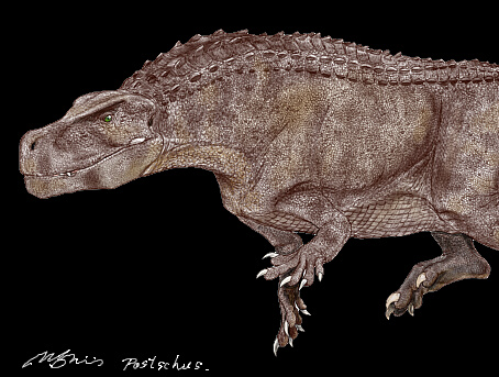 Postosuchus200602.jpg