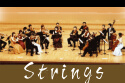 Strings.jpg