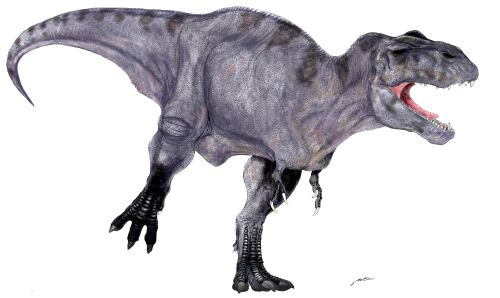 T-rex2018Brogsize.png