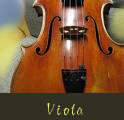 Viola.jpg